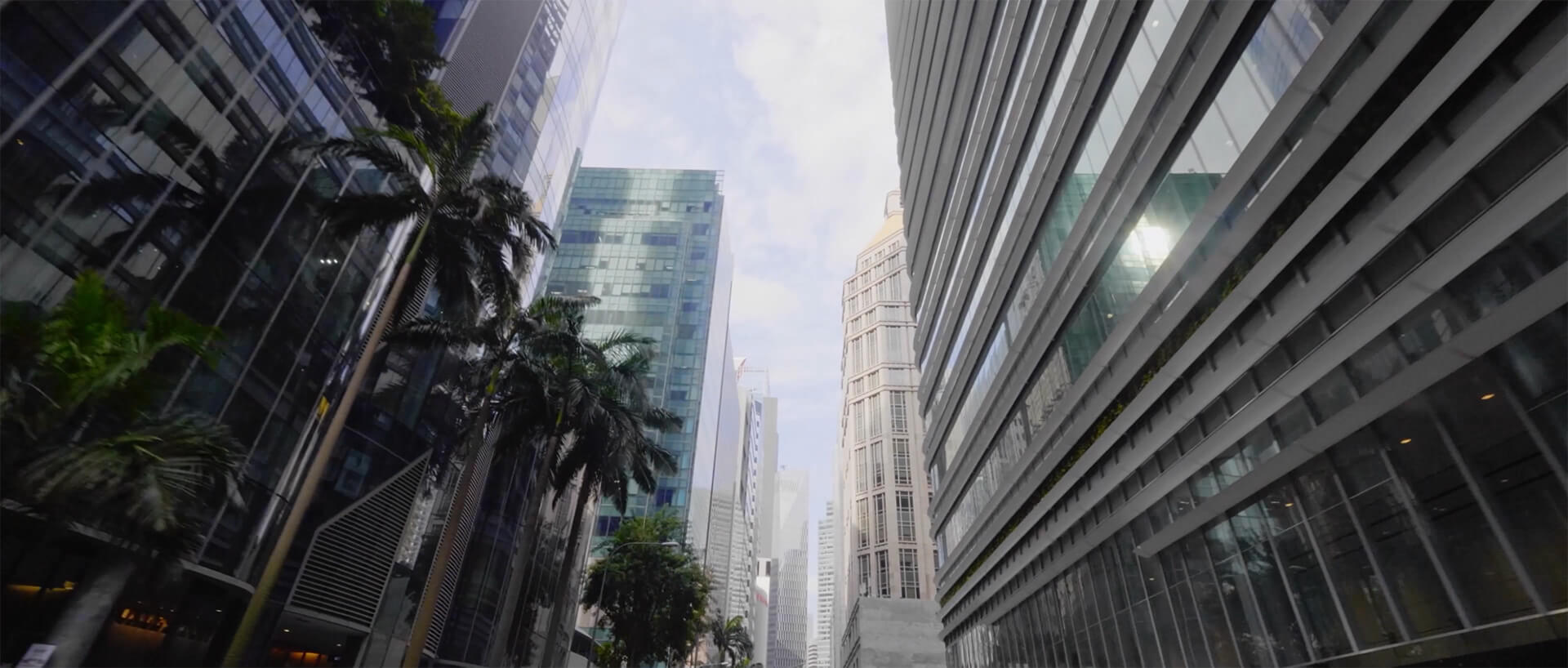Discretionary Asset Management